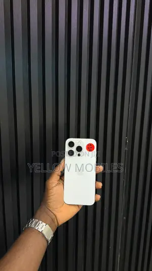 Apple iPhone 15 Pro 256 GB Silver