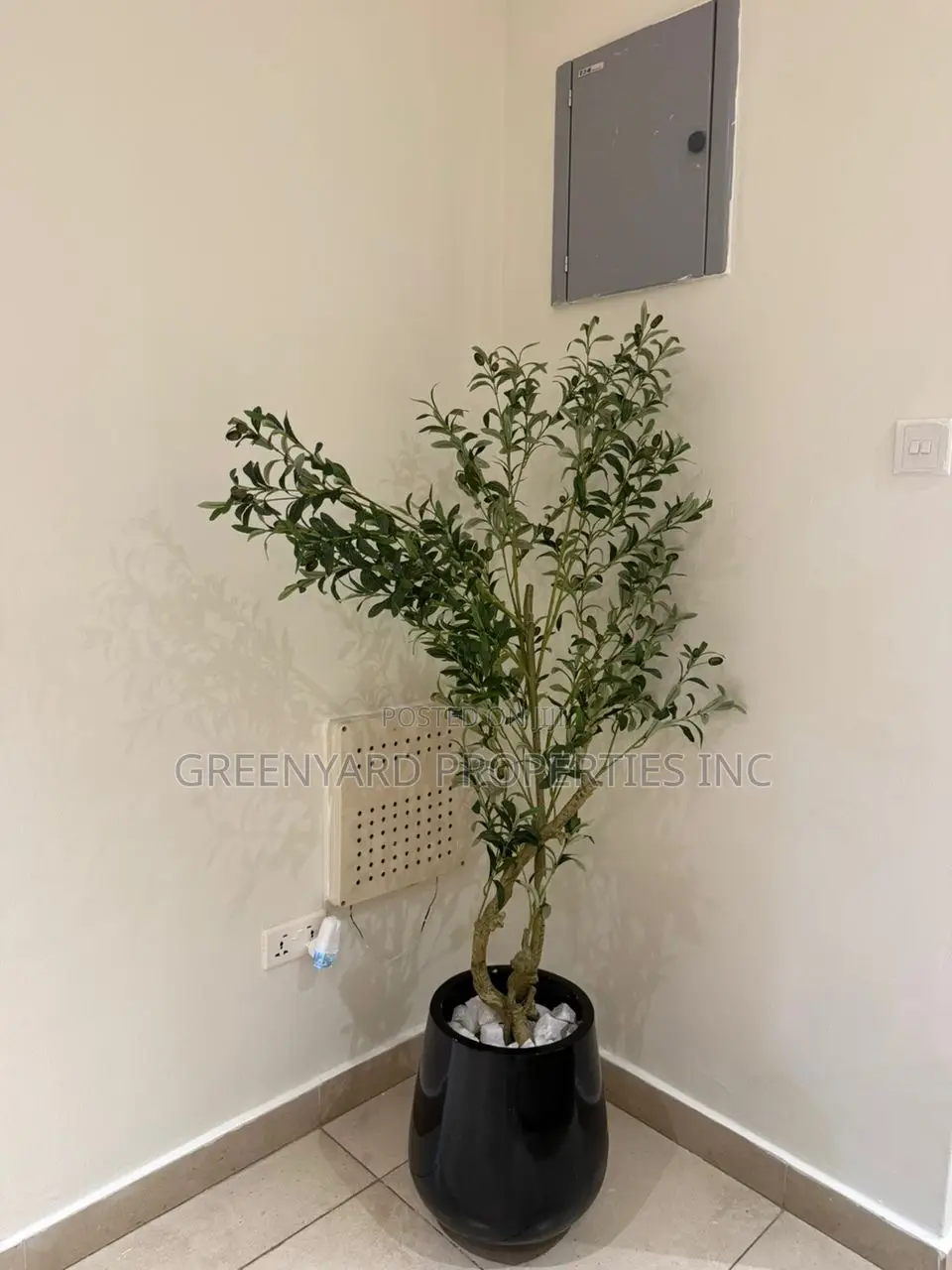 Furnished 2bdrm Apartment in Labone for rent