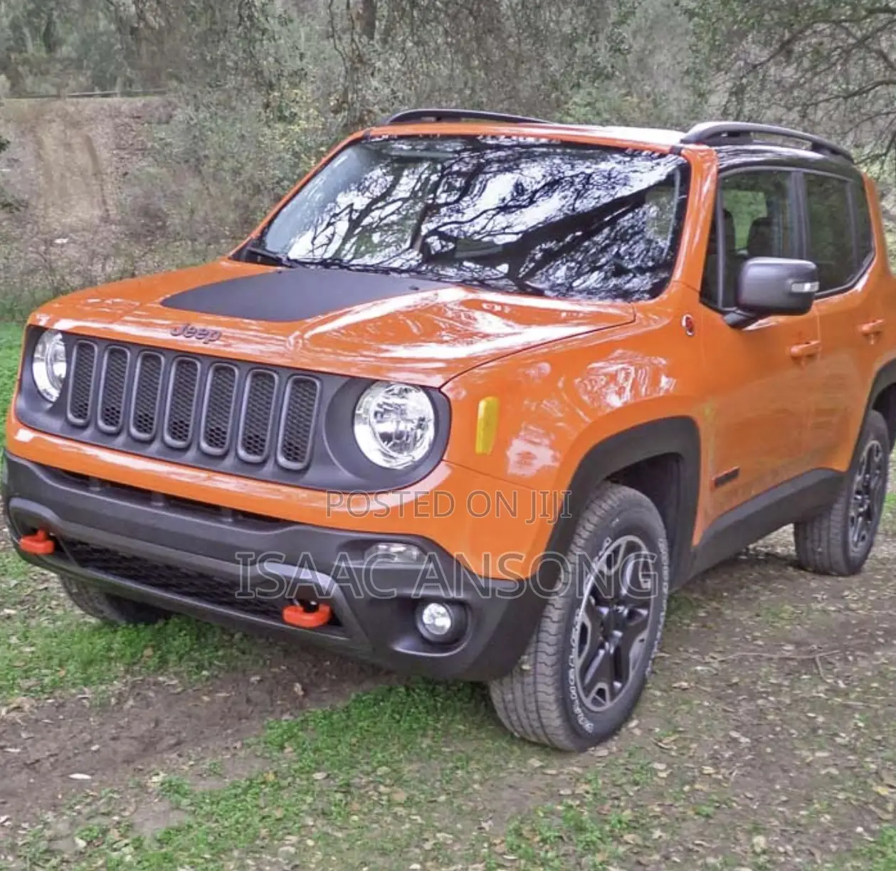 Jeep Renegade 2019 Orange