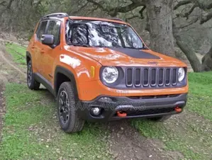 Jeep Renegade 2019 Orange
