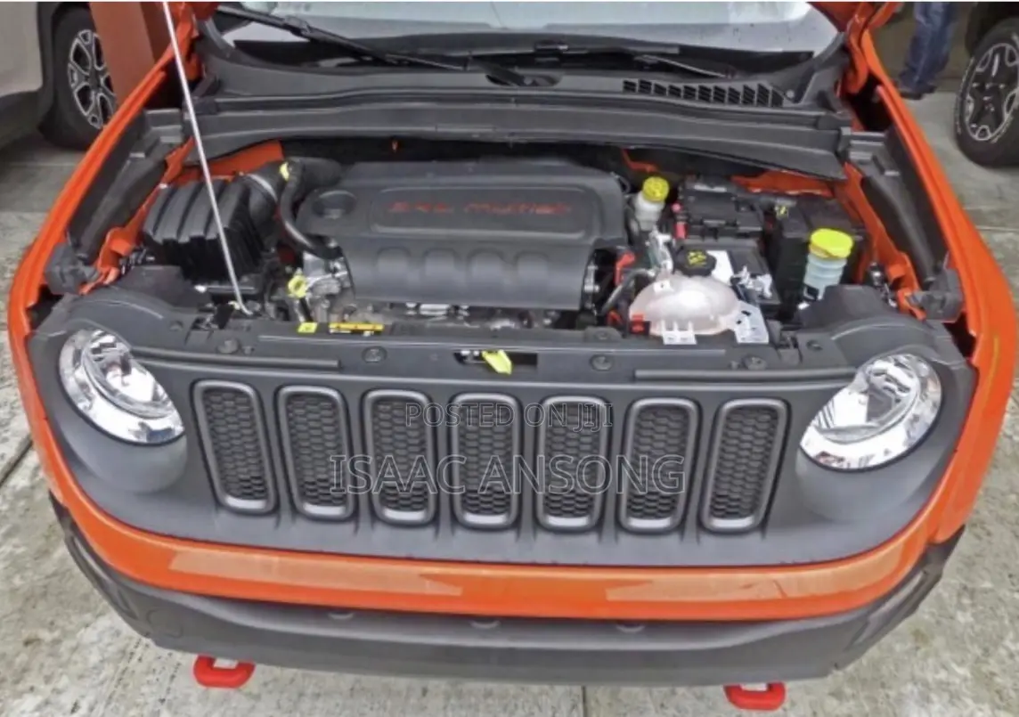 Jeep Renegade 2019 Orange