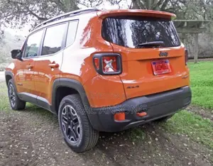 Jeep Renegade 2019 Orange