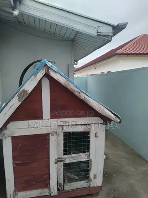 Dog Cage For Sale