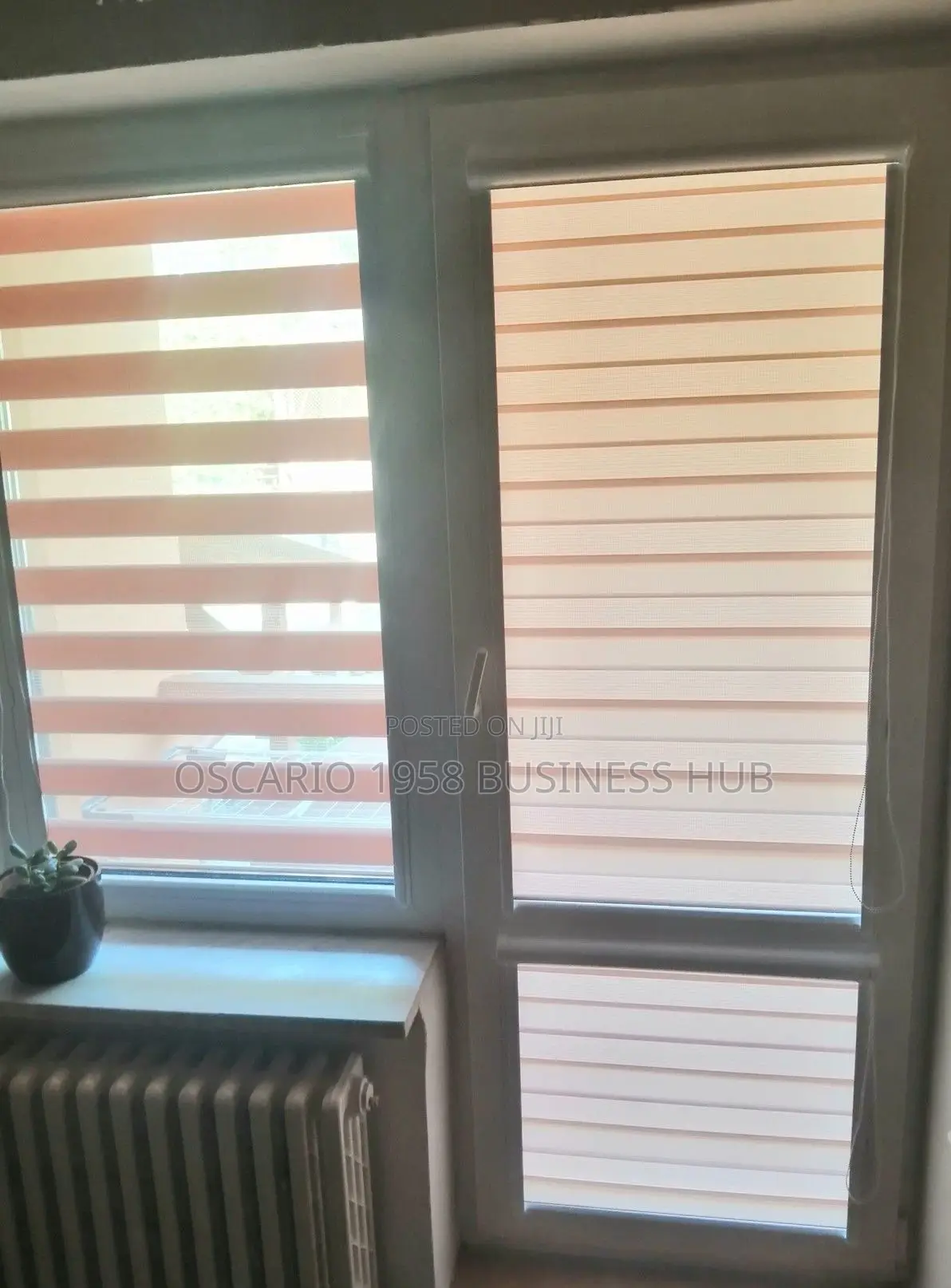 Wisdom Window Curtain Blinds