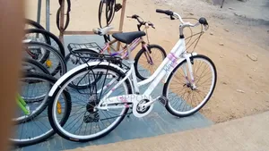 Mountain Bicycle