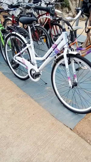 Mountain Bicycle