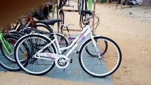 Mountain Bicycle
