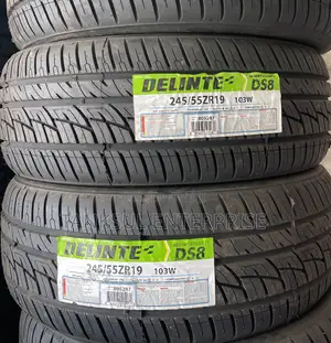 Delinte 245 55 R19
