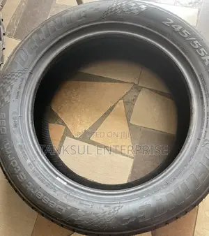 Delinte 245 55 R19