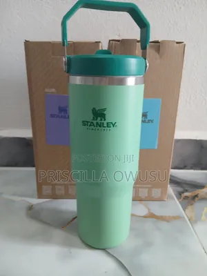 30oz Mini Stanley Cups Available