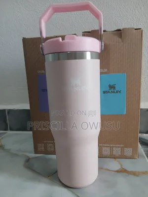 30oz Mini Stanley Cups Available
