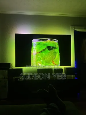 Lg Oled 65inch