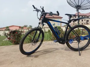 Bulls Evo 1 Ebike