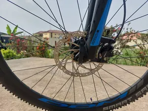Bulls Evo 1 Ebike