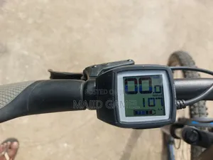 Bulls Evo 1 Ebike