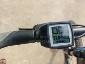 Bulls Evo 1 Ebike