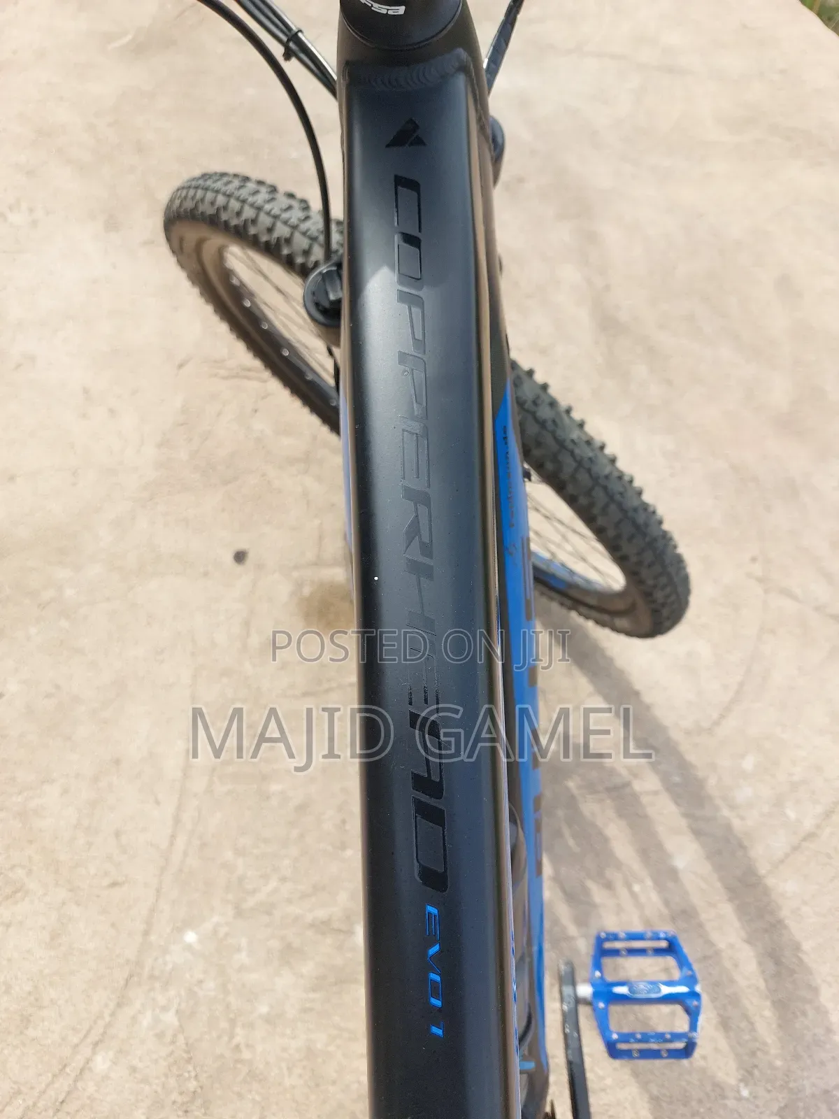 Bulls Evo 1 Ebike