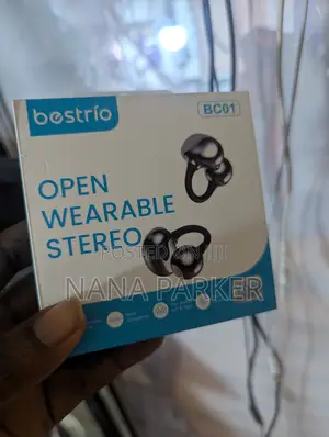 Bestro Earbuds