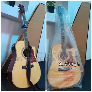 Semi Acoustic Guitar
