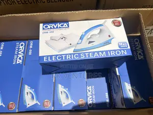 Orvica Steam Iron
