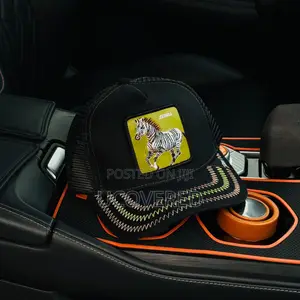Quality Unisex Caps With New Designs
