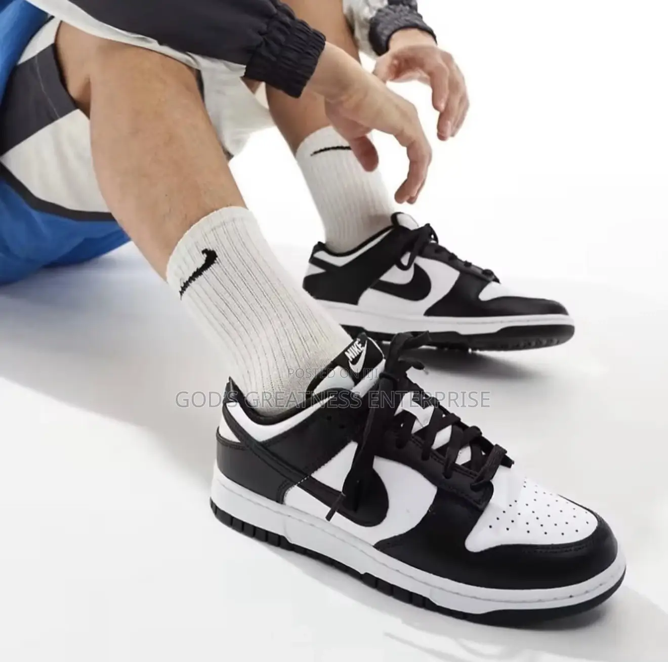 Nike Sb Low Dunk