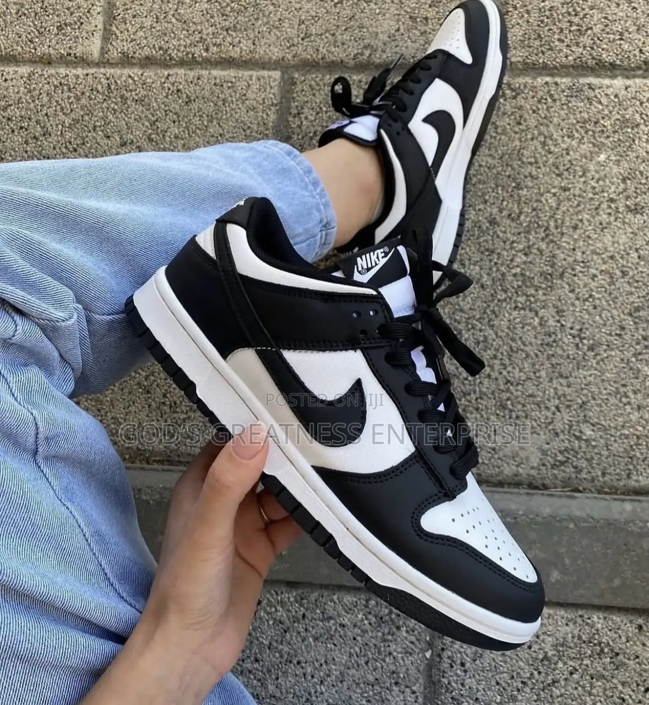 Nike Sb Low Dunk