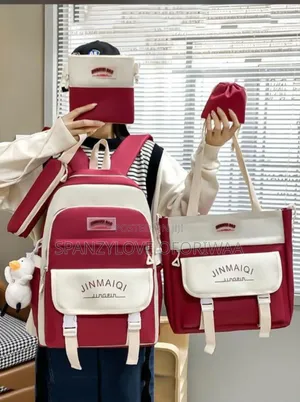 5in1 Laptop Bag