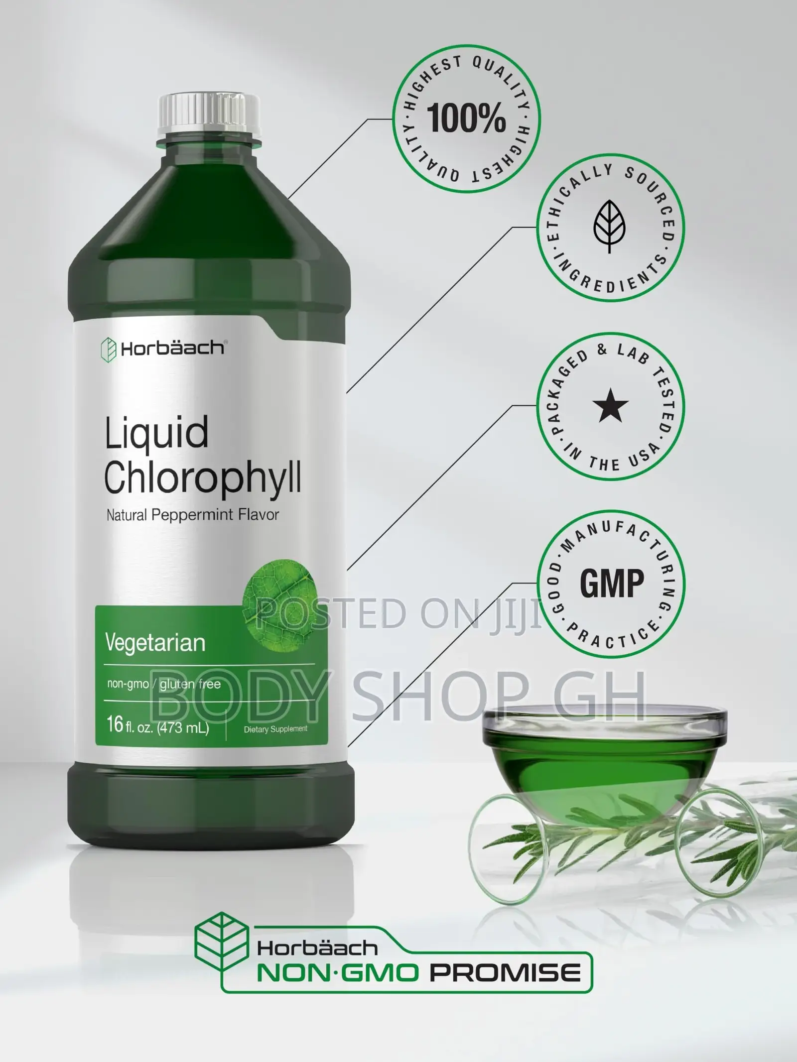 Horbäach Chlorophyll Liquid Drops | 100mg - 475ml