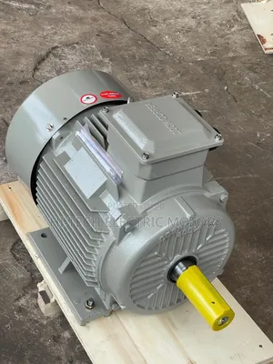 20hp (15kw) High Speed (2900rpm) Three Phase Electric Motor