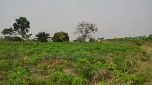 Volta Region, Ho (Abutia) _ 200+ Acres Farmland