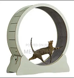 Cat Threadmil