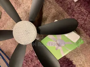 Ceiling Fan With Light