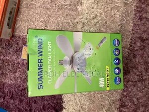 Ceiling Fan With Light