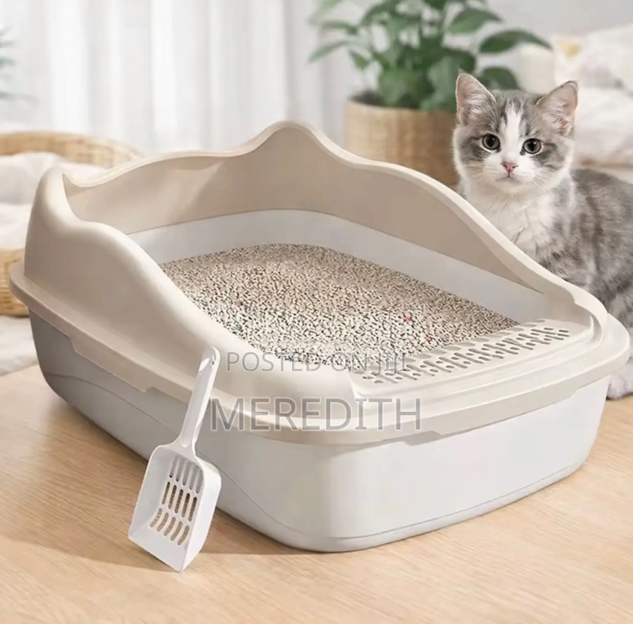 Litter Box