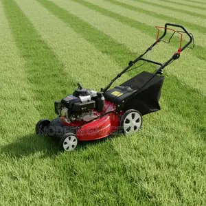 Self Propelled Hand Push Powerful Lawn Mower