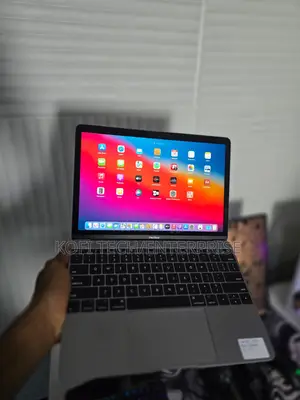 Laptop Apple MacBook 2017 8GB Intel Core M3 SSD 256GB