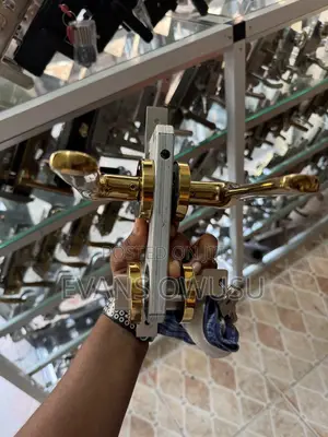 Plantex Gold Door Lock