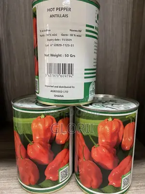 Habanero Hot Pepper