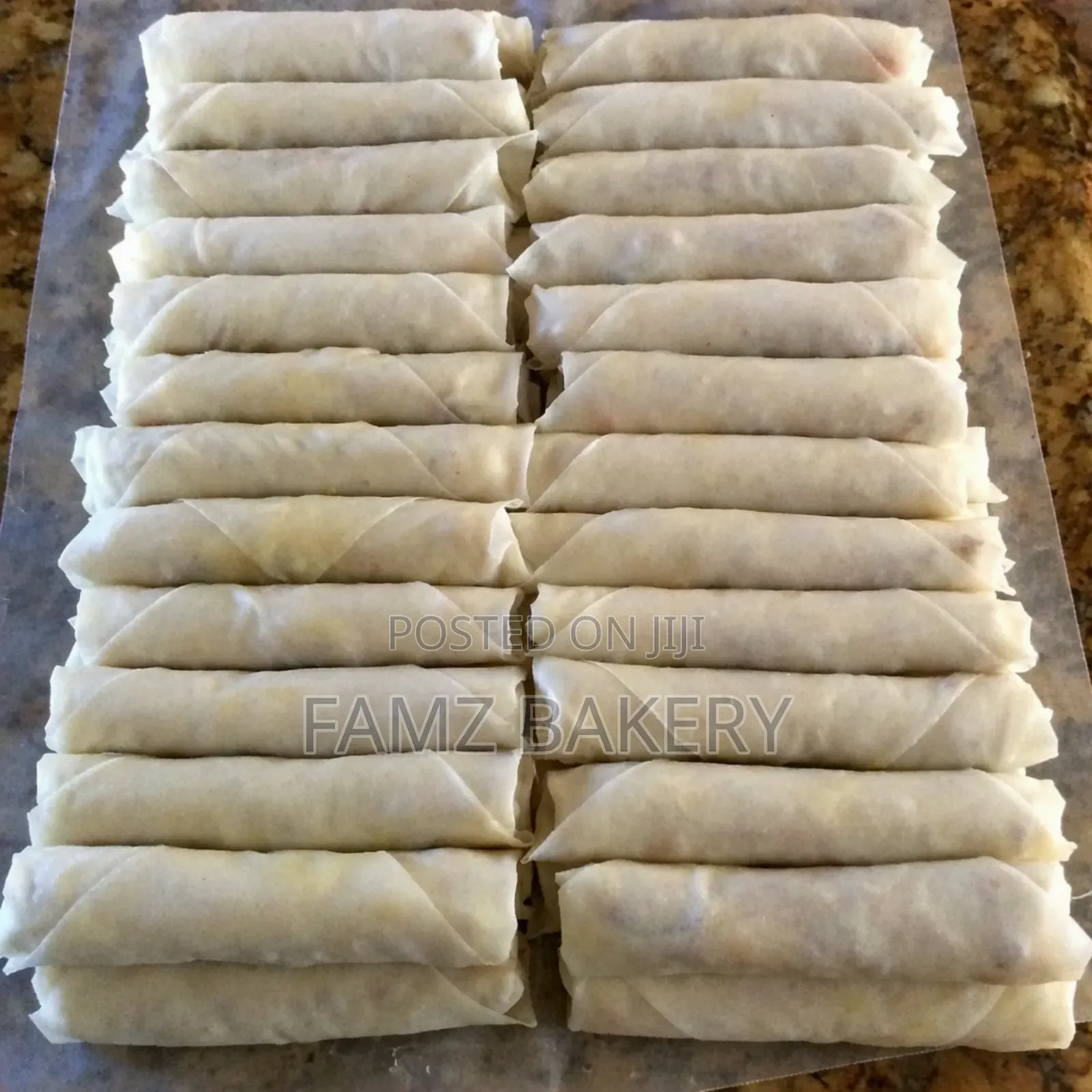 Frozen Spring Rolls and Samosas
