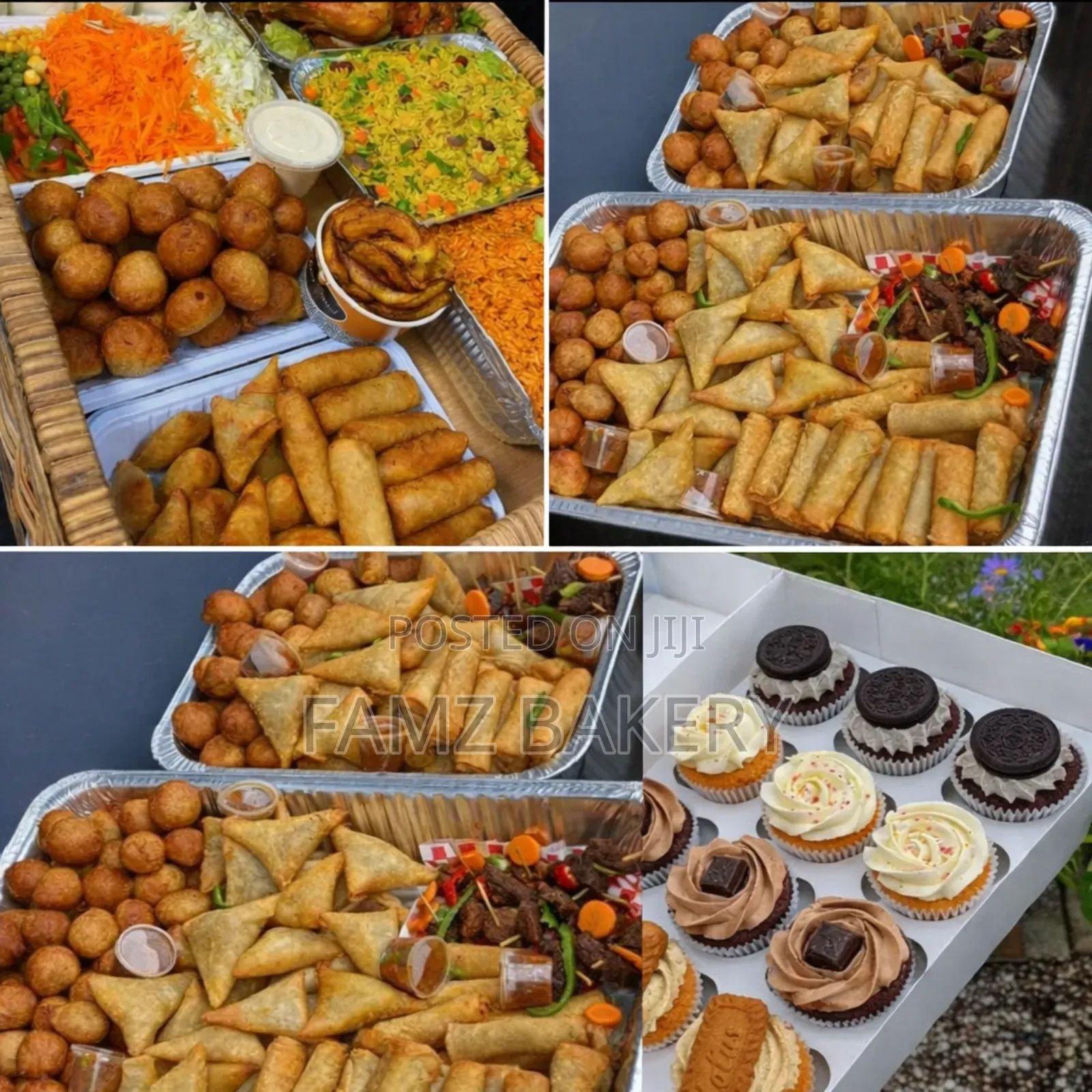 Spring Rolls and Samosas