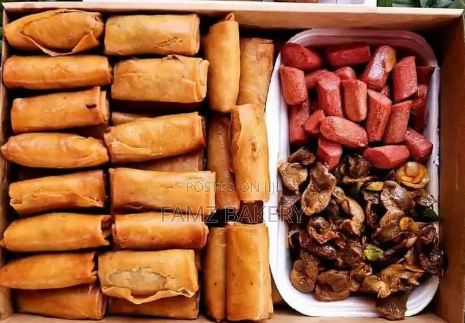 Spring Rolls and Samosas