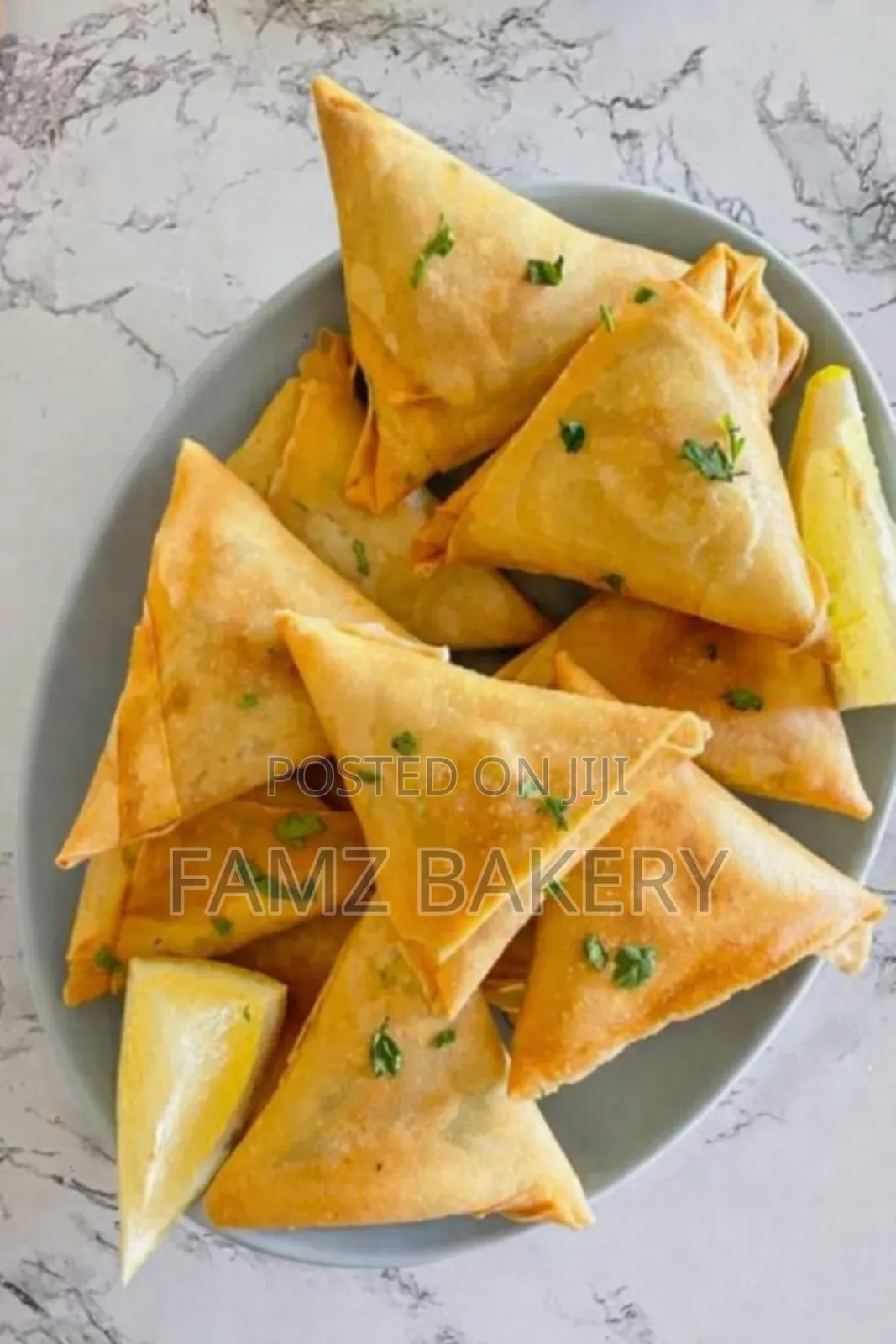 Spring Rolls and Samosas