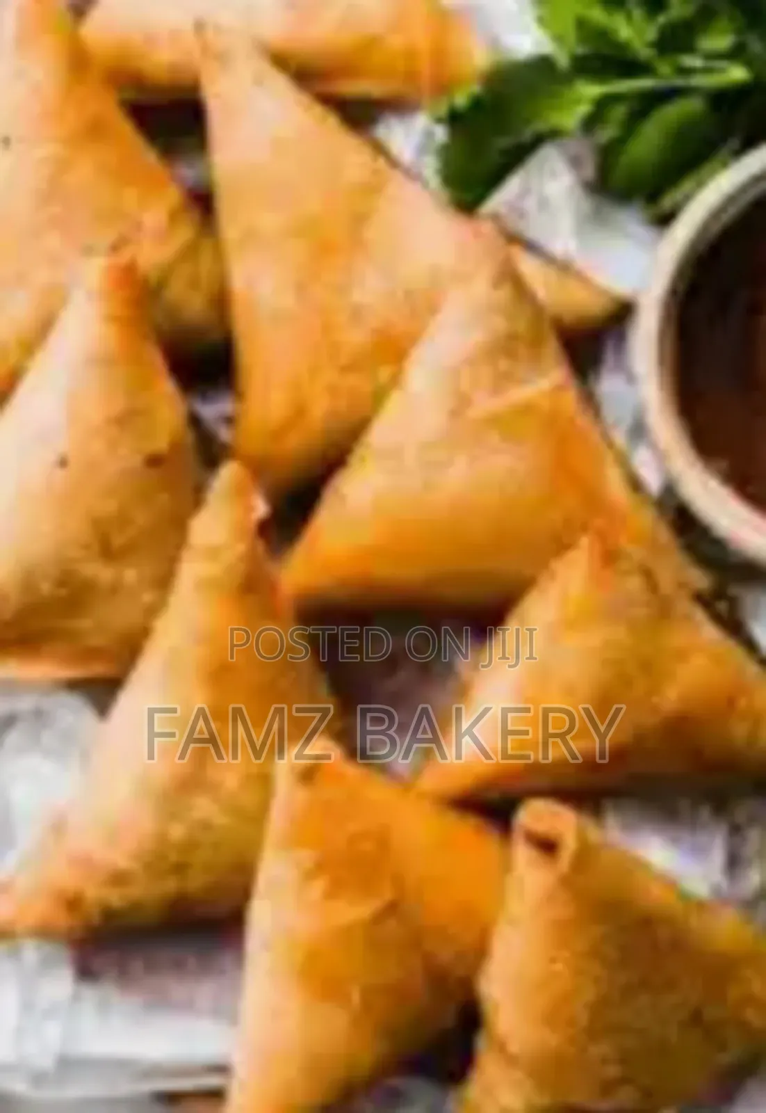Spring Rolls and Samosas