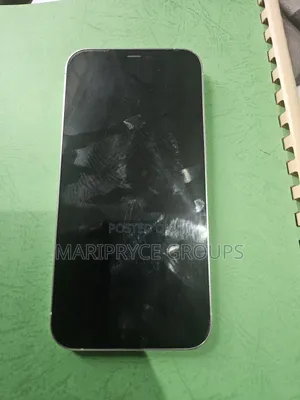 Apple iPhone 12 Pro Max 256 GB Silver