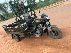 Tricycle 2024 Green