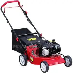 Hand Push Stratton Engine Lawn Mower