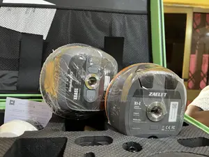 Singular X-Base and Zaelet X1-Z