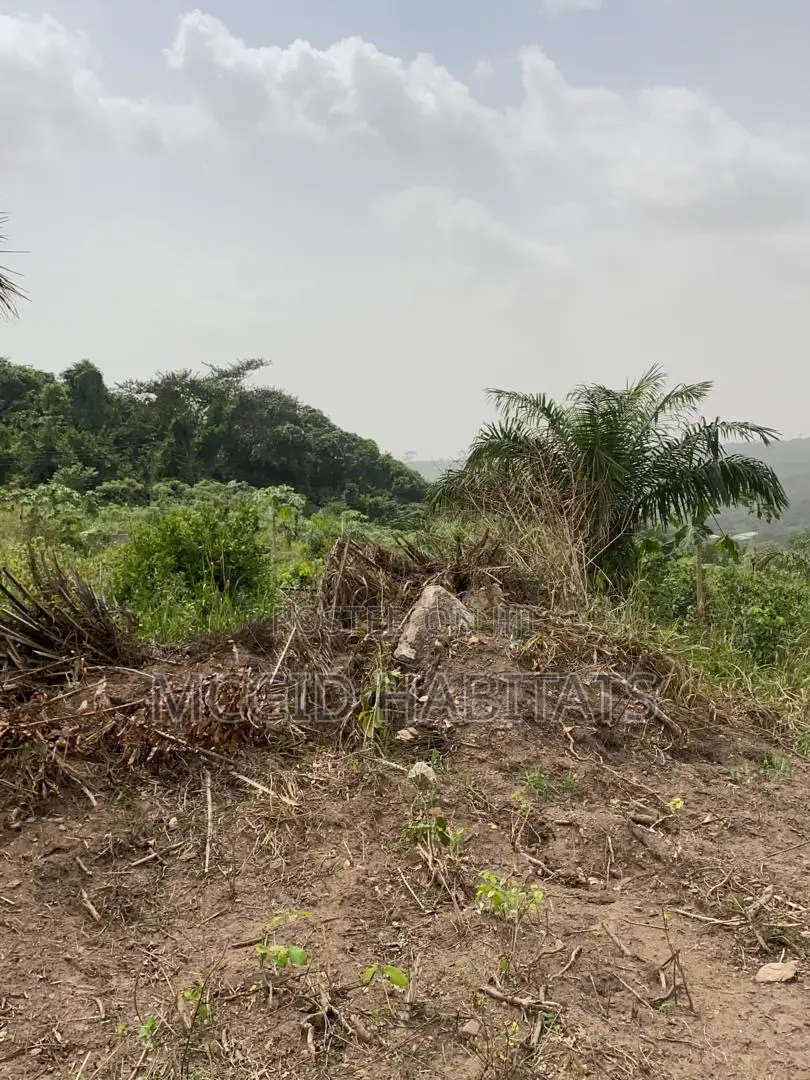 Serviced Plot of Land for Sale at Peduase Lodge