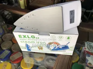Steam Iron